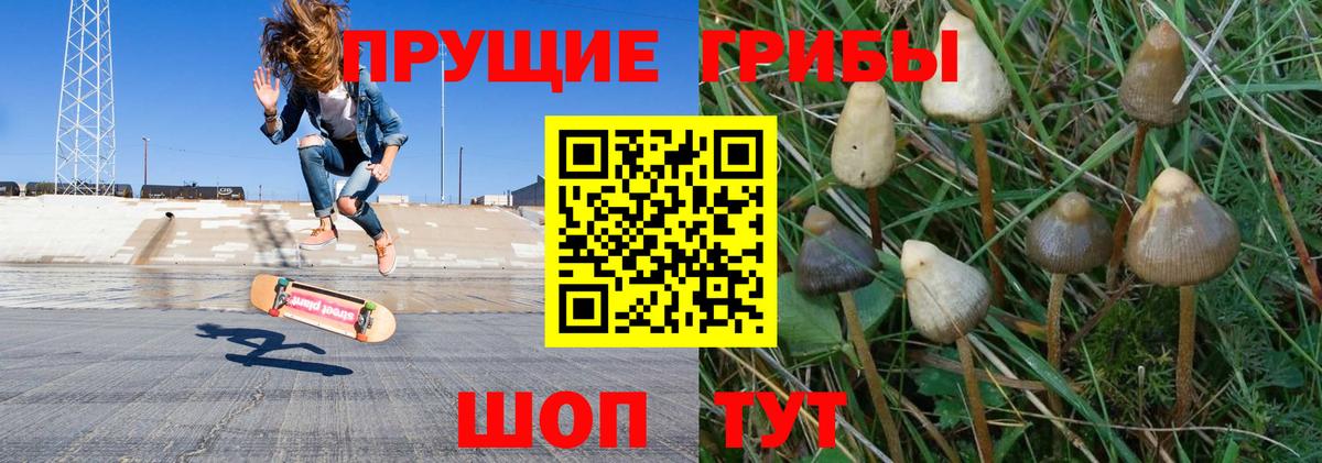 Галлюциногенные грибы мухоморы  Вход с VPN  Гурьевск  Галлюциногенные грибы мицелий 